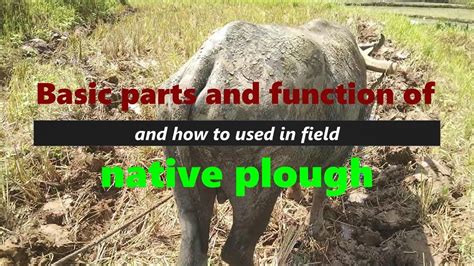 What is a native plow? - Studybuff