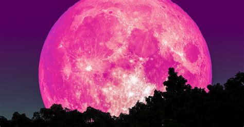 What is a pink moon and when can you see it?