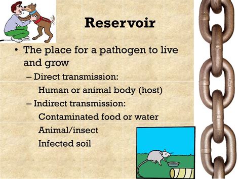 What is a reservoir in microbiology? - Answers