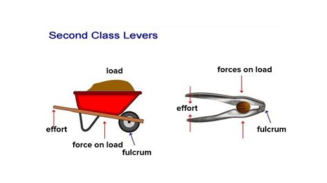 What is a second class lever? – KnowledgeBurrow.com