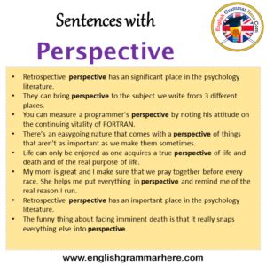 What is a sentence with the word perspective? - Quora