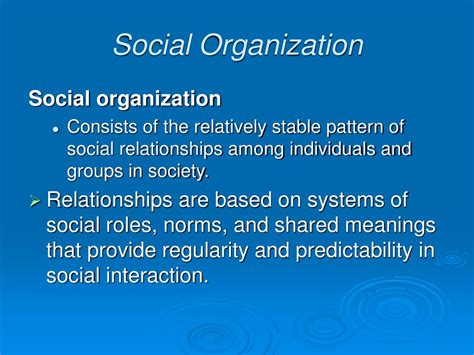 SocialInteraction => Social Organization => Social System . All the three definitions above are interrelated. A family, by contact with its members, is an integrated structure. There is a greater degree of activity in a system than outside the system. By social contact, the members of a family establish an organized community.. 