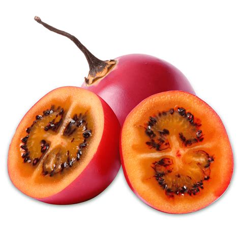 What is a tamarillo. Also known as the Tree Tomato is a very quick growing small tree that bears heavy crops of red sub-acid succulent fruit. Prefers a sheltered spot with well ... 