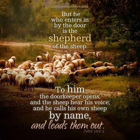 What is an “Open Door”? Shepherd Thoughts