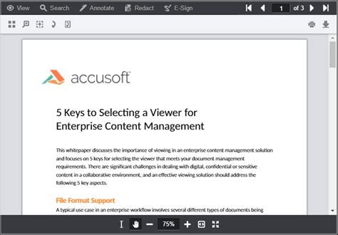 What is an HTML5 Document Viewer? Accusoft