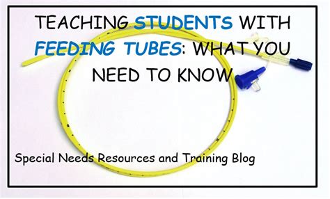 What is an Statement Student Tube