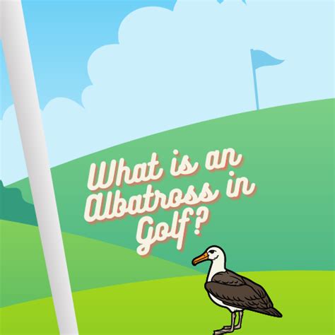 What is an albatross in golf. Making an albatross is one of the rarest and most unlikely things to happen in a round of golf. As illusive and incredible a hole-in-one is to make, your chances of an albatross are far slimmer. According to the National Hole in One Association, they believe that an average golfer has a 1 in 12,700 chance of making a hole-in-one. 