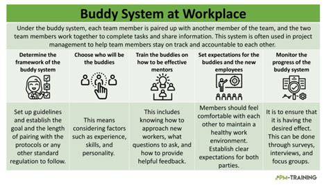 What is an example of a buddy system