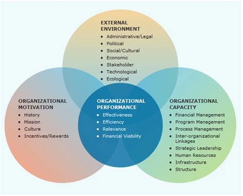Organizational development and assessmen
