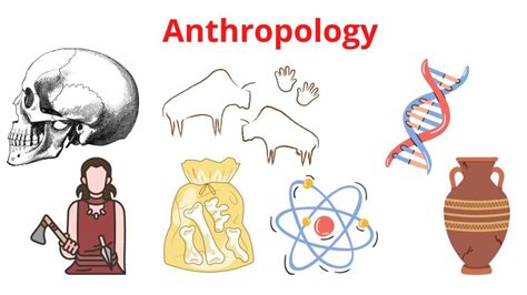 Anthropology relies on material evidence, while sociology incorporates economics and statistics to understand social groups; Anthropology emphasizes culture, its physical and social .... 