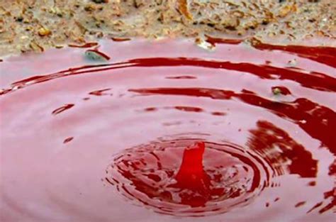 What is blood rain and why might we see some this week