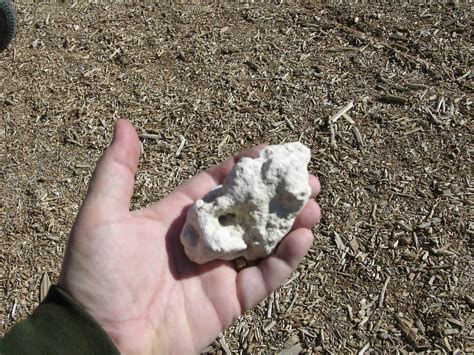 Caliche is best used in drier climates. Not only is it created in arid and semiarid environments, it's more suitable as a road base material in drier climates. Can caliche …. 