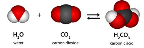 What is carbonic acid and carbonated water? - Answers