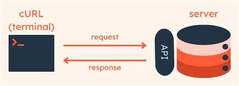 What is curl request. com To send cookies back in future requests, use t...