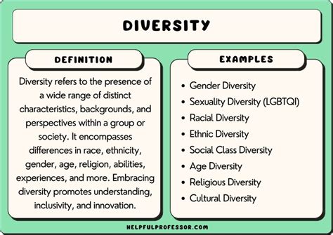 What is diversity 3 examples