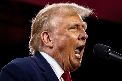 What is donald trumps net worth