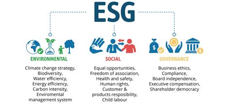What is esg rule. Things To Know About What is esg rule. 