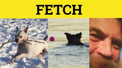 What is fetch. What is FETCH Courses. Fetchcourses.ie was developed by SOLAS, the Further Education & Training Authority, in partnership with Education and Training Boards Ireland (ETBI) and other Further Education and Training providers. More about FET . Follow us on Instagram @ThisIsFET. Home Register. 