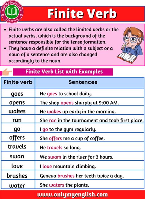 What is finite verb