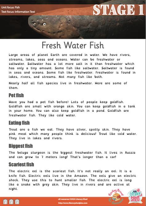 What is fish plus fish? - Answers