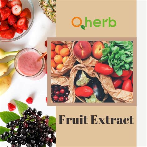 What is fruit extract
