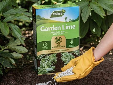 What is garden lime? The Definitive Guide True Value