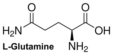 What is glutamine used for