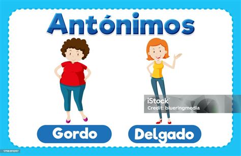 What is gordo in spanish