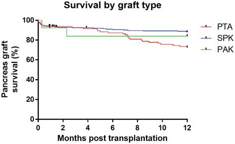 What is graft survival? - Studybuff