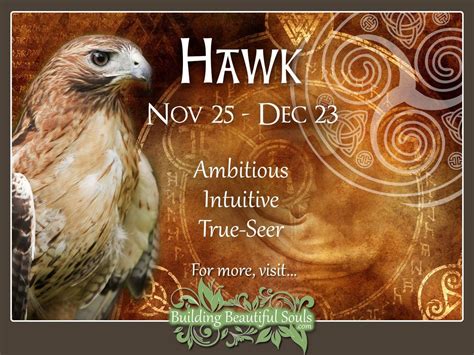 The hawk is a Celtic zodiac sign and is given to those born between November 25th to December 23rd. If you are born under the hawk zodiac, it is likely that you have a stubborn personality and when you have your mind set on something it is hard for you to change your mind..