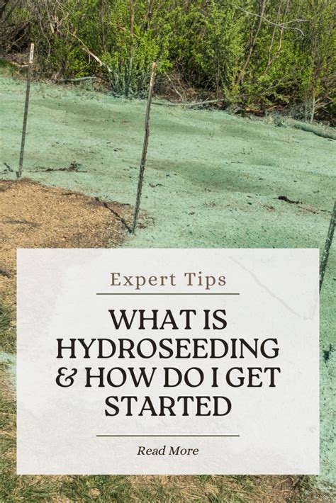 What is hydroseeding.  This technique is often When I started doing hydroseeding,...