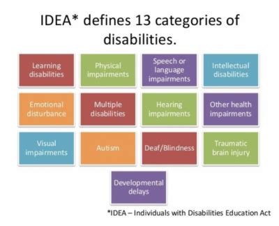IDEA—the Individuals with Disabilities Education Act. IDEA w