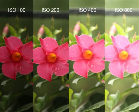 ISO is the camera’s ability to control the sensitivity of the image sensor as the light hits it. It forms one of the critical elements in the exposure triangle. The camera controls the ISO by letting you enter an ISO value or apply an automatic setting to achieve exposure. Most modern cameras have clever Auto ISO mode settings that do a great ... 