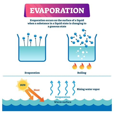 What is it called when water evaporates