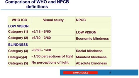 What is level 5 blindness