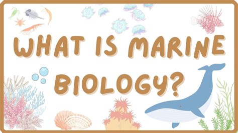 What is marine biology?: Defining a science in the United