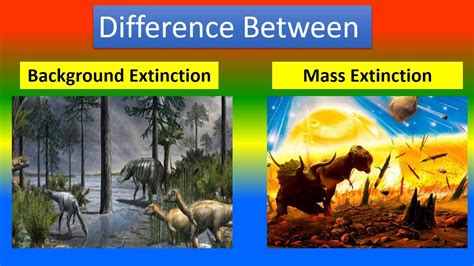 ৩০ নভে, ২০২২ ... But mass extinctions are defined as periods with much higher extinction rates than normal. They are defined by both magnitude and rate.. 