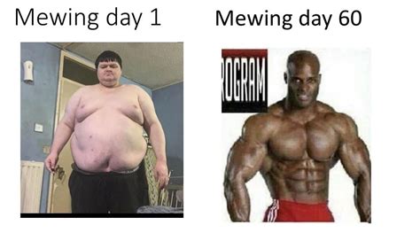 What is mewing meme. Things To Know About What is mewing meme. 