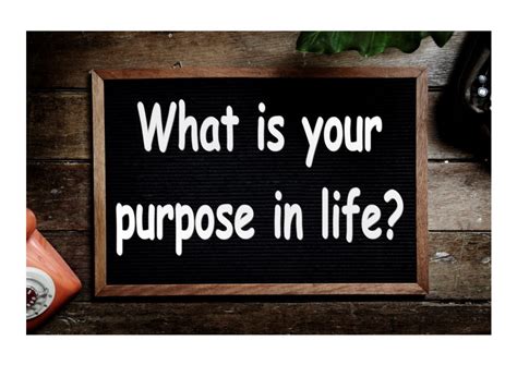 What is my purpose in life. Purpose is a combination of finding and creating—you don’t choose your life purpose (finding), but you do choose what you do with it (creating). “The goal of life is to make your heartbeat match the beat of the universe, to match your nature with Nature.”. — Joseph Campbell. 4. Interconnected Purpose. 