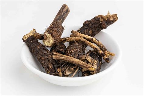 What is osha root. Things To Know About What is osha root. 