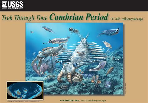 The period, and the Paleozoic era, came to a calamitous close 