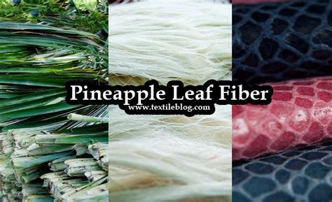 What is pineapple leaf fiber used for