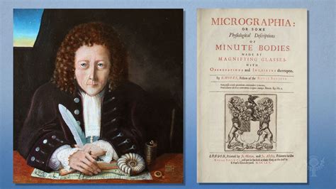 What is robert hooke famous for