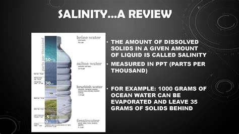 What is salinity how is it measured