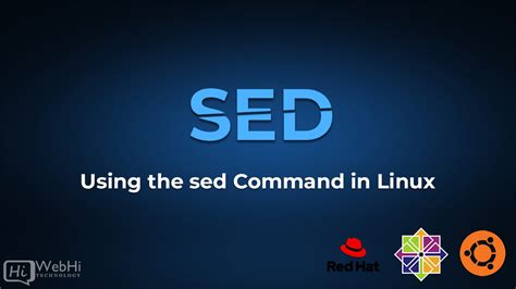 What is sed command on Linux? - IONOS