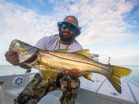 What is snook season in Florida? [Fact Checked!]