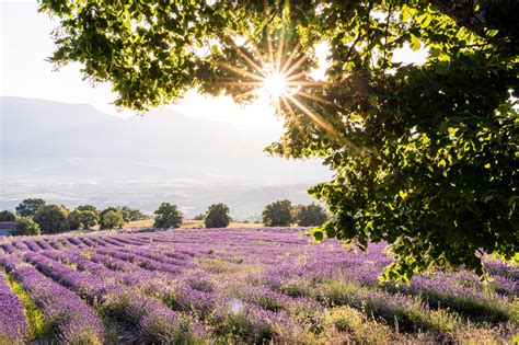 What is so special about Provence
