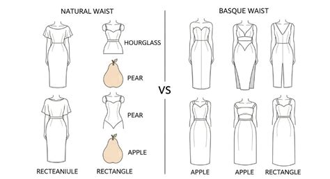 What is the Basque body type