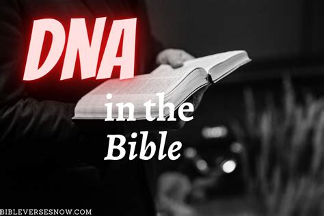 What is the Biblical Meaning of 14? - DNA in the Bible