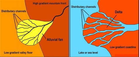 What is the Difference Between Alluvial Fan and Delta